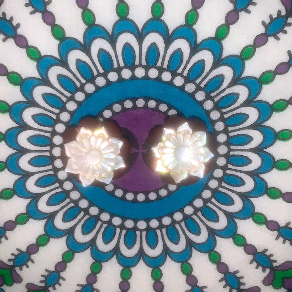 Mother of Pearl and Saba Wood Plugs